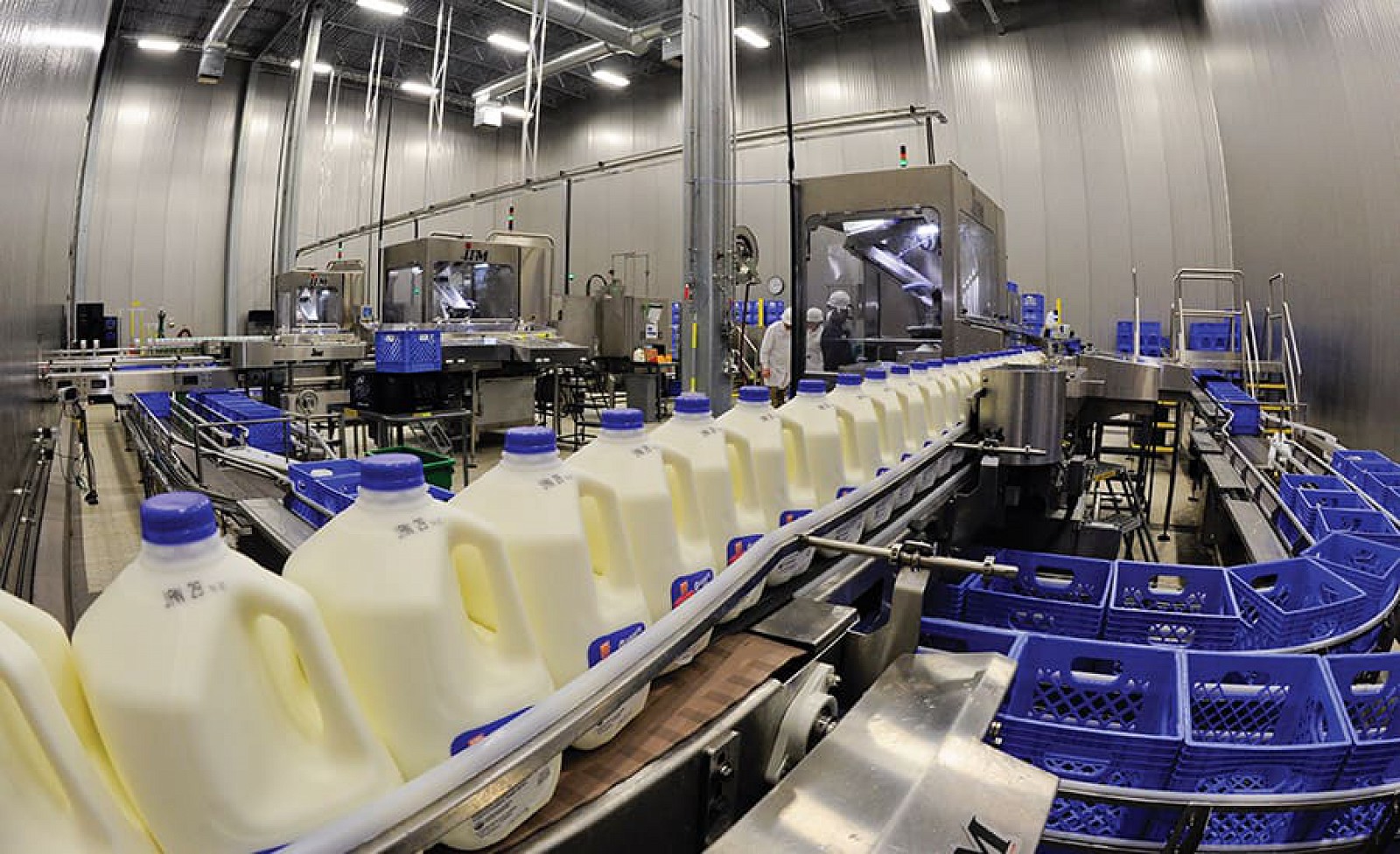 Dairy Processing Plant