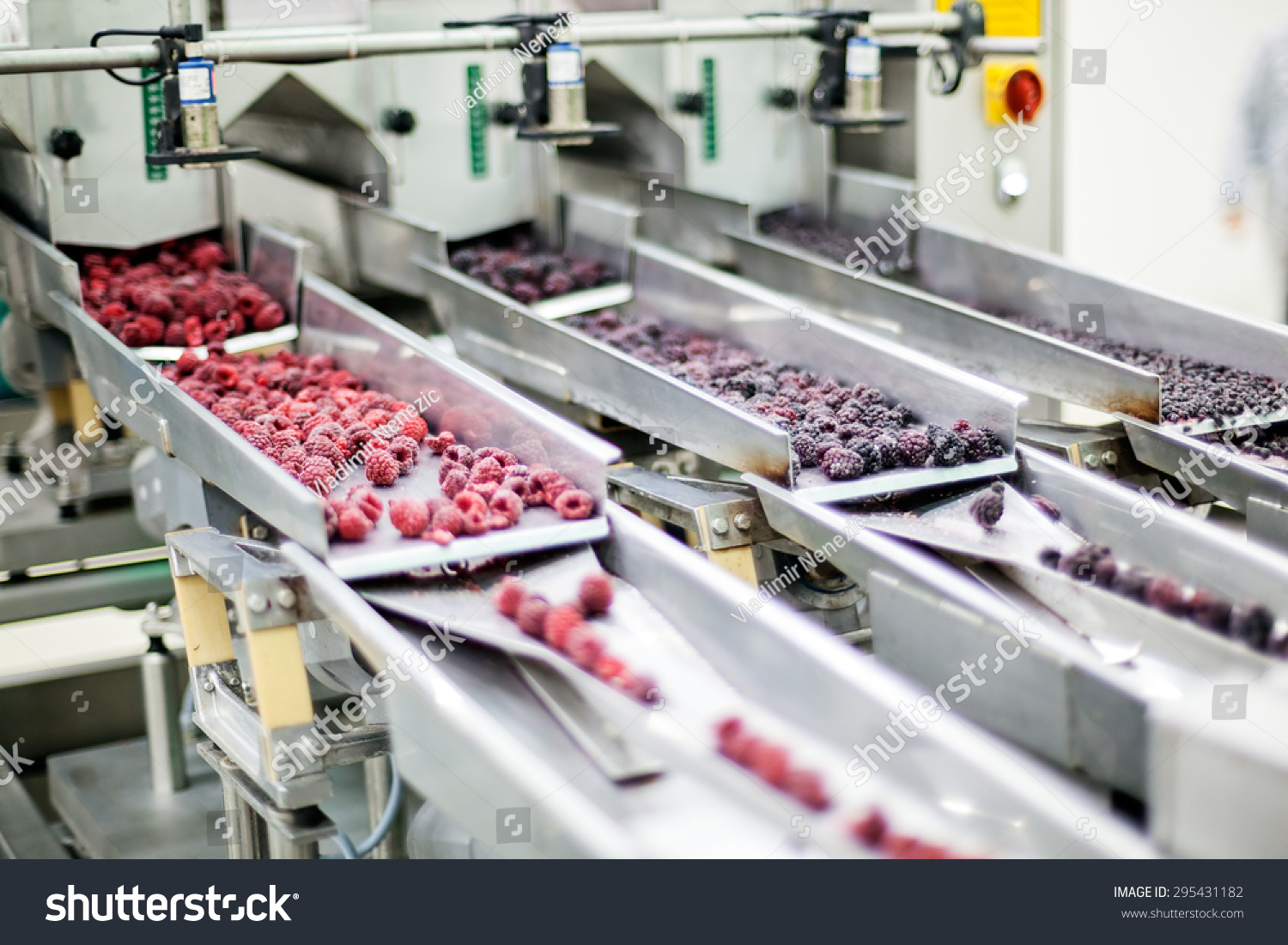 Frozen Food Facility